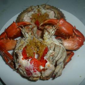 CUA GẠCH - Sally Crabs (U-shaped apron)